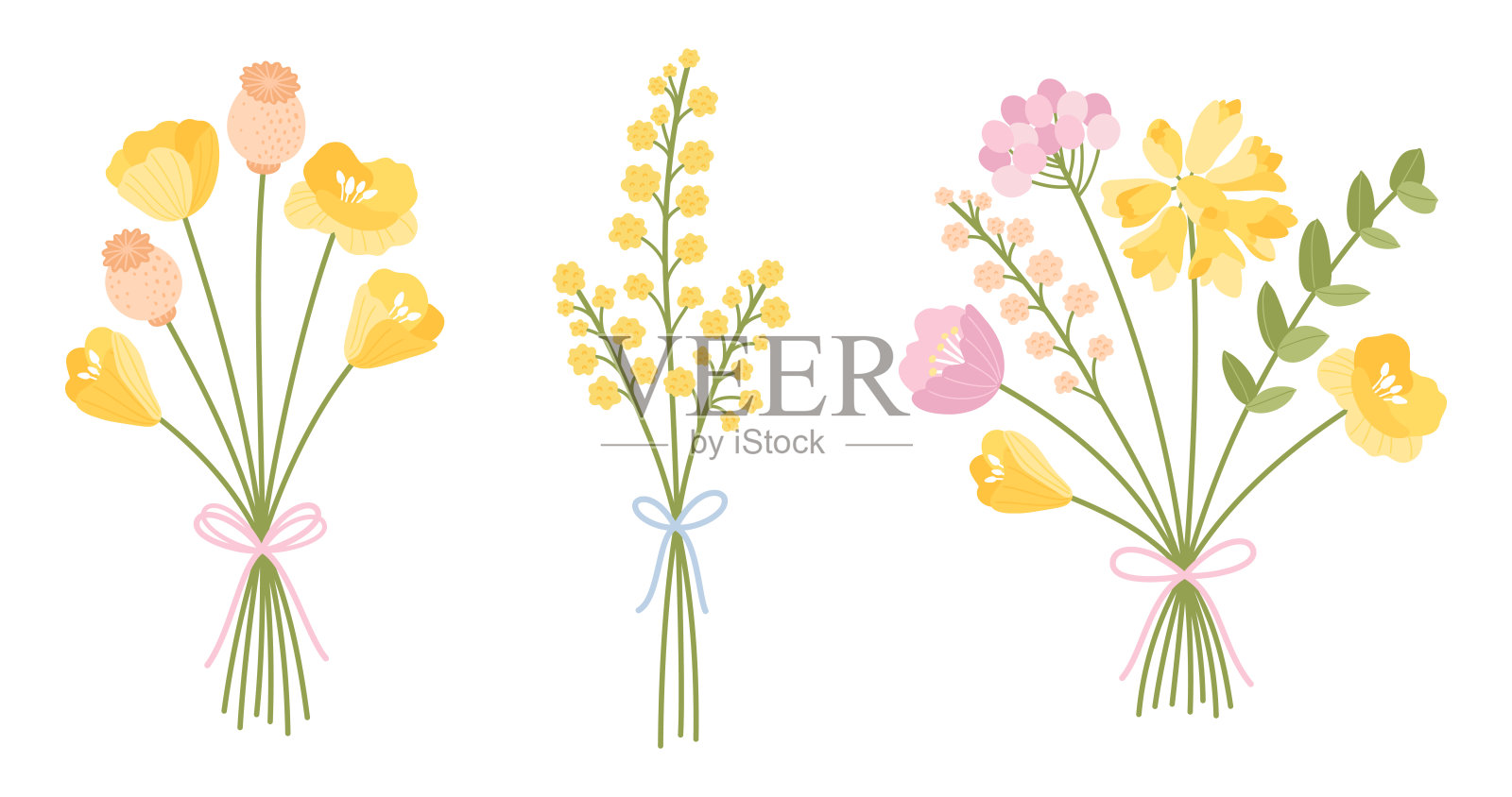 野花花束套装。温柔的花卉花束，包含罂粟花。用丝带绑扎的花朵，矢量插图。用于设计项目的草地草药和野生植物。插画图片素材