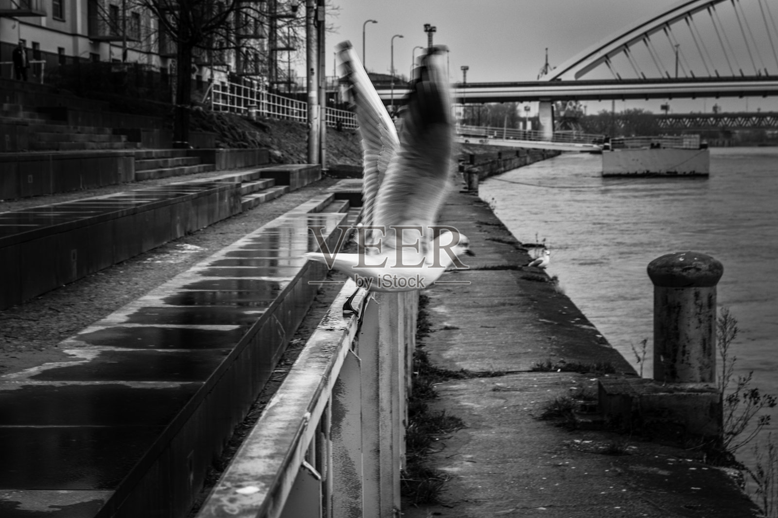 女人从背后走在天桥上照片摄影图片