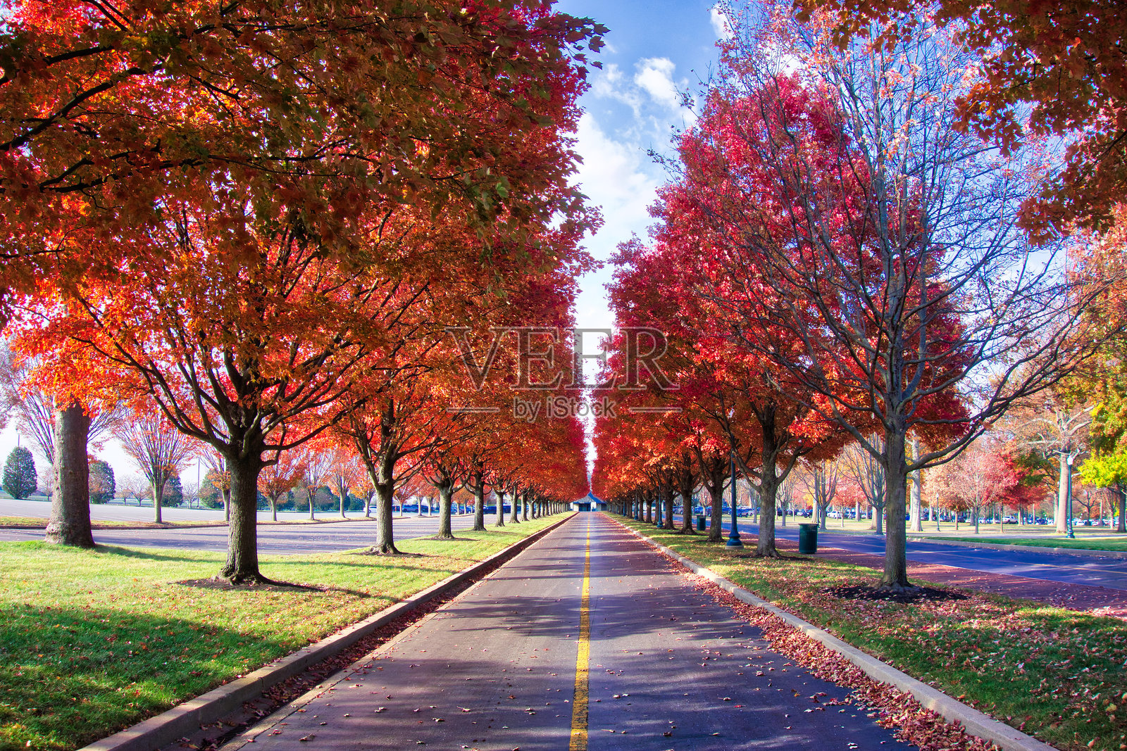 秋天的色彩照片摄影图片