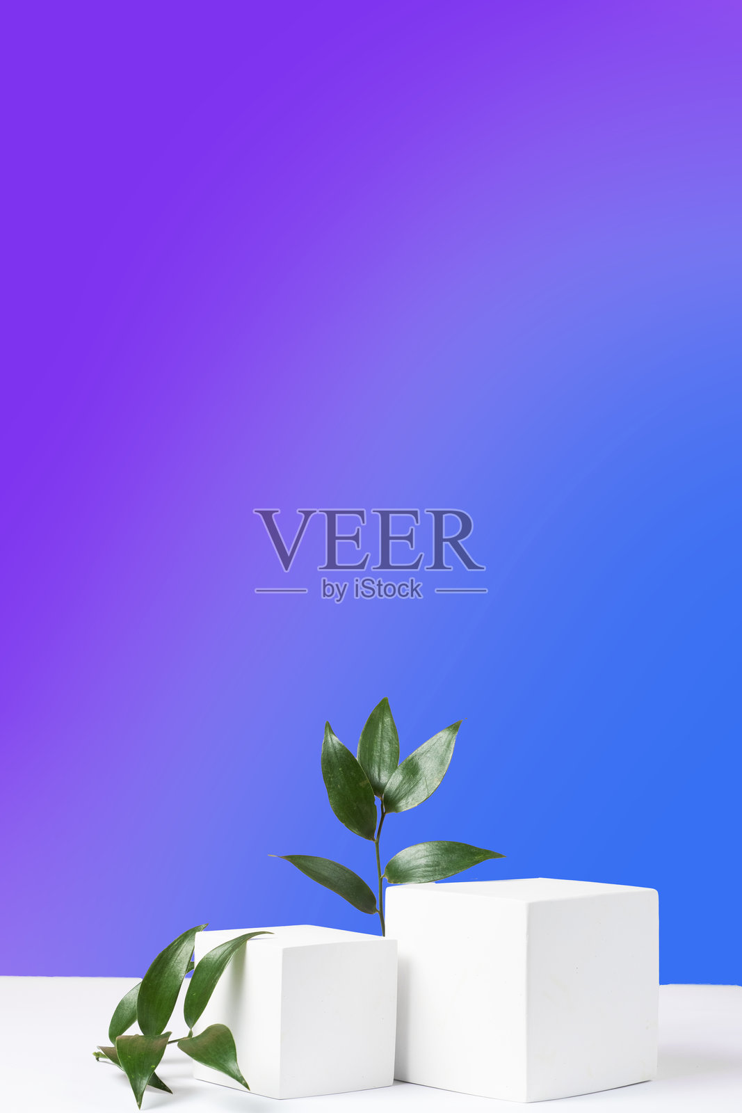 两个水泥立方体讲台和绿色的鼠尾草叶子，背景为蓝紫色渐变。照片摄影图片