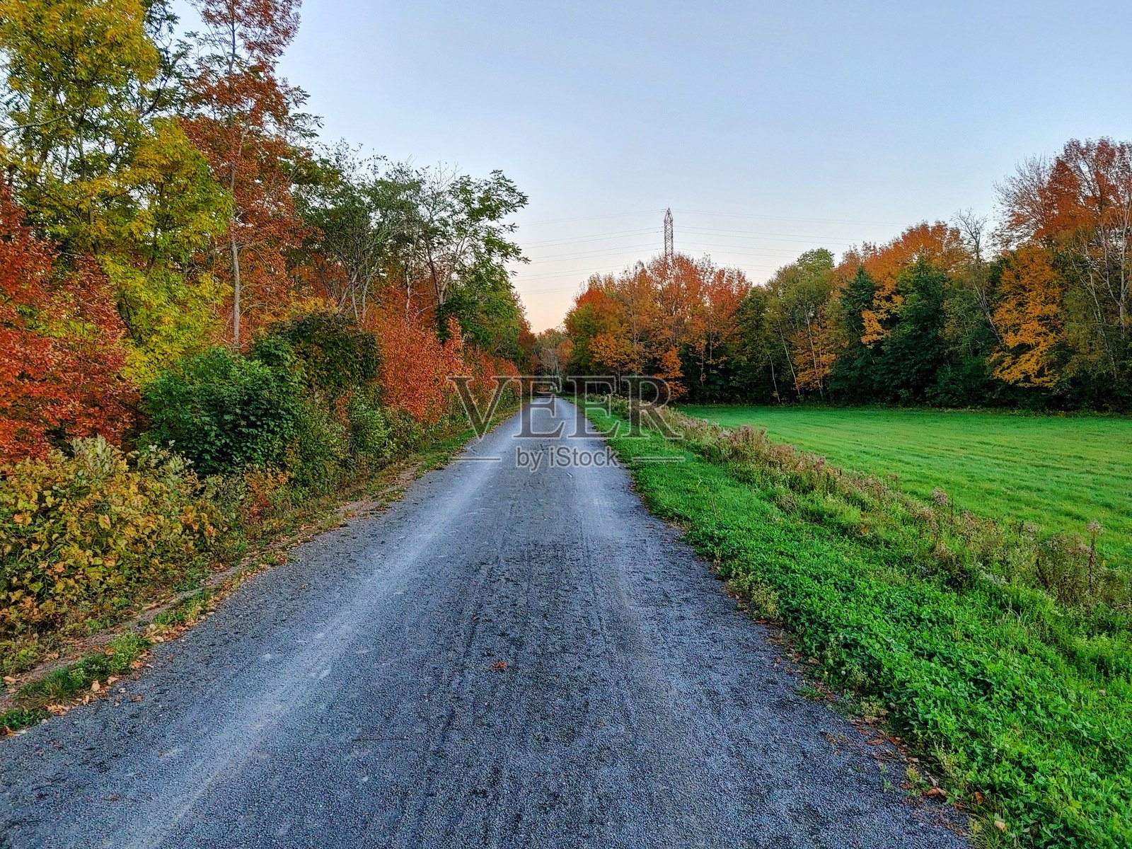 加拿大新不伦瑞克的秋季散步照片摄影图片
