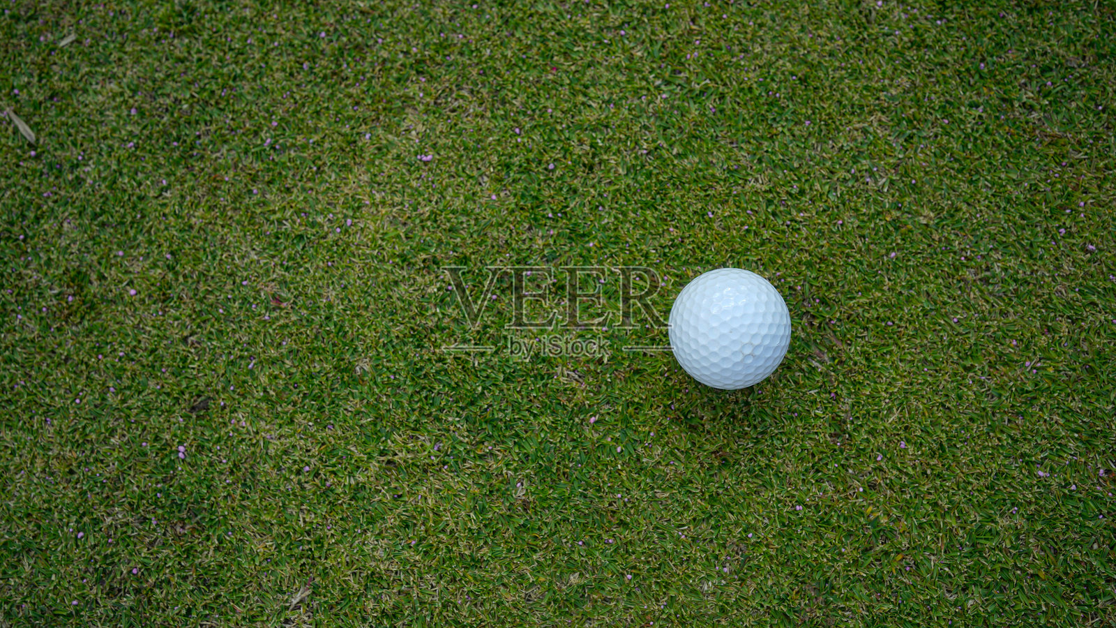 高尔夫球在美丽的高尔夫球场的绿草坪上，沐浴在晨光中。照片摄影图片