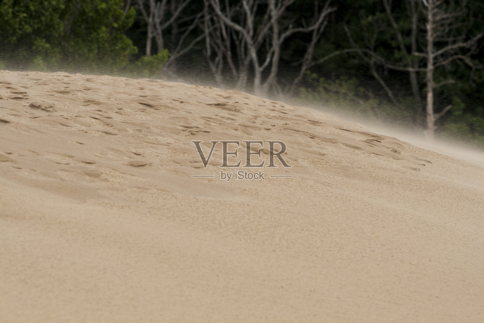 密歇根州银湖州立公园的沙丘照片摄影图片