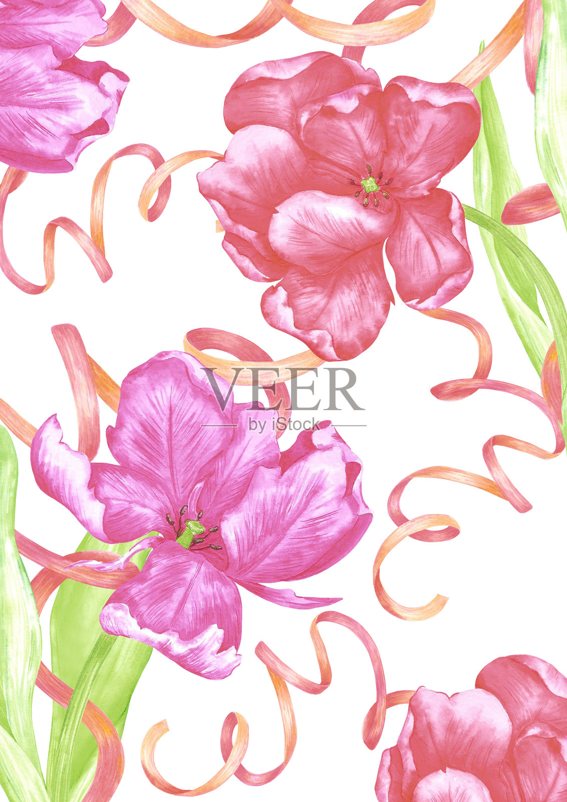 手绘水彩郁金香与绿色叶子和丝带的明信片。花卉插图孤立在白色背景上。可用于明信片、邀请函、海报及其他印刷产品。插画图片素材