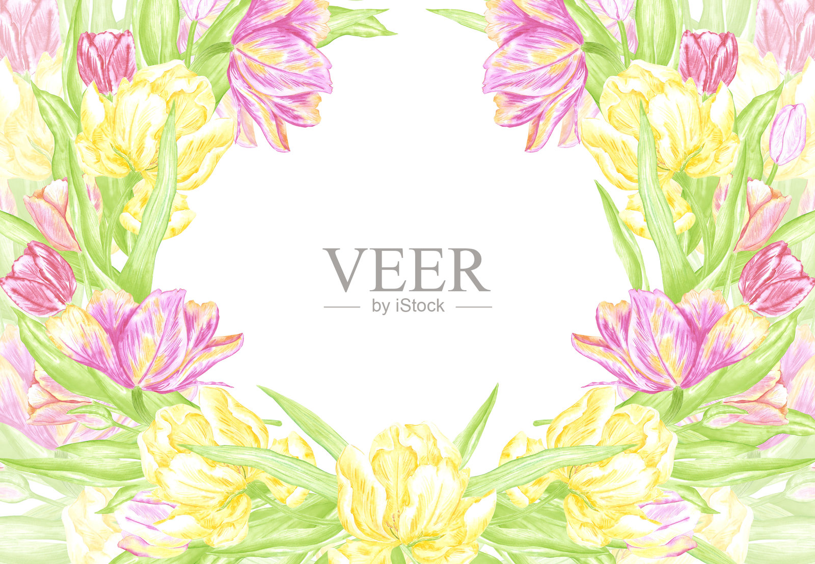 手绘水彩郁金香与绿色叶子的花环边框。花卉插图孤立在白色背景上。可用于明信片、邀请函、相册及其他印刷产品。插画图片素材