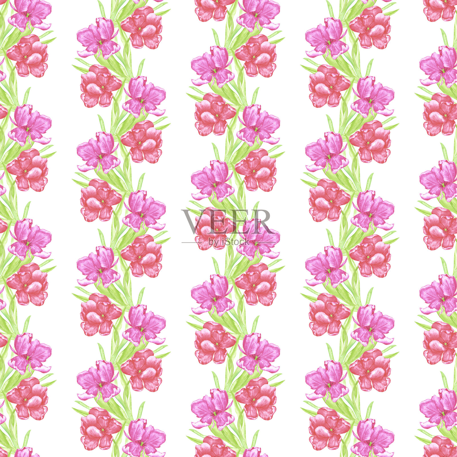 手绘水彩红色和粉色郁金香与绿色叶子的无缝图案。插图独立于白色背景。可用于纺织品、面料、包装和其他印刷产品。插画图片素材