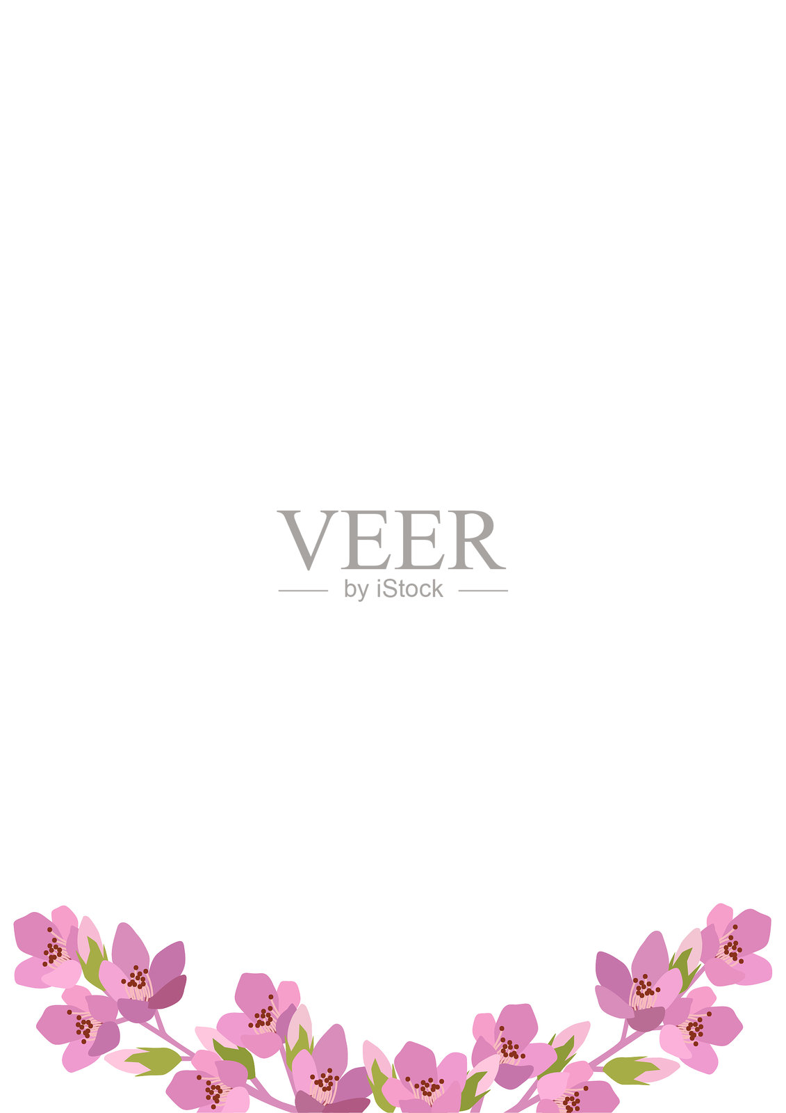 白色背景上的盛开杏花枝框架。花卉矢量插图插画图片素材