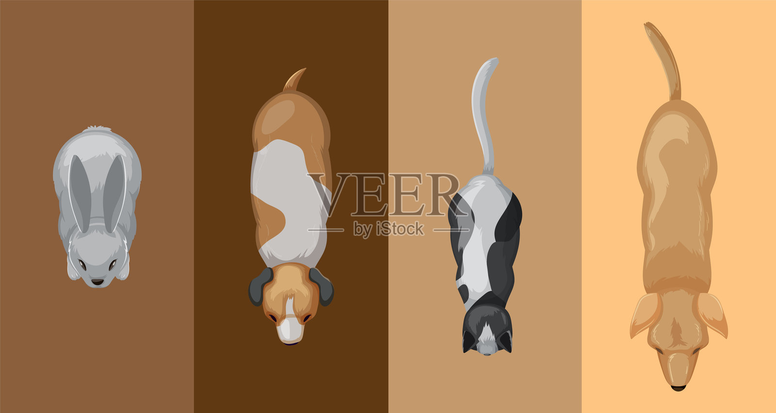 从上方看兔子、狗和猫的插图插画图片素材