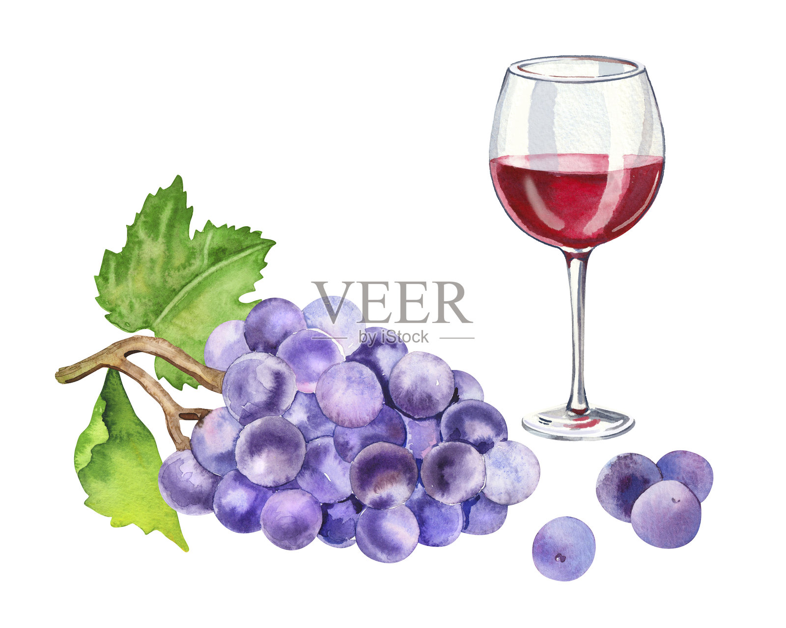 水彩手绘的酒杯、葡萄和叶子。插画图片素材