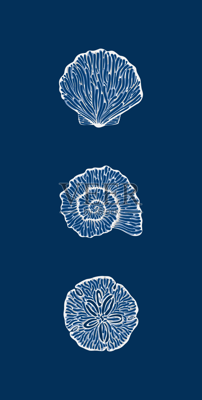各种贝壳设计的插图，采用复杂的白色线条艺术描绘在深蓝色画布上，艺术与自然主题相结合，呈现出海洋灵感的作品。插画图片素材