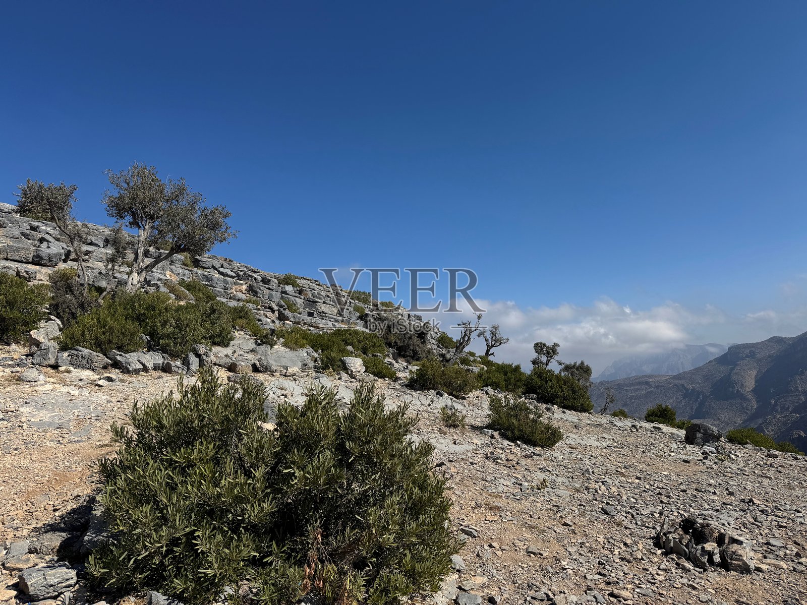 阿曼的贾巴尔阿赫达尔照片摄影图片
