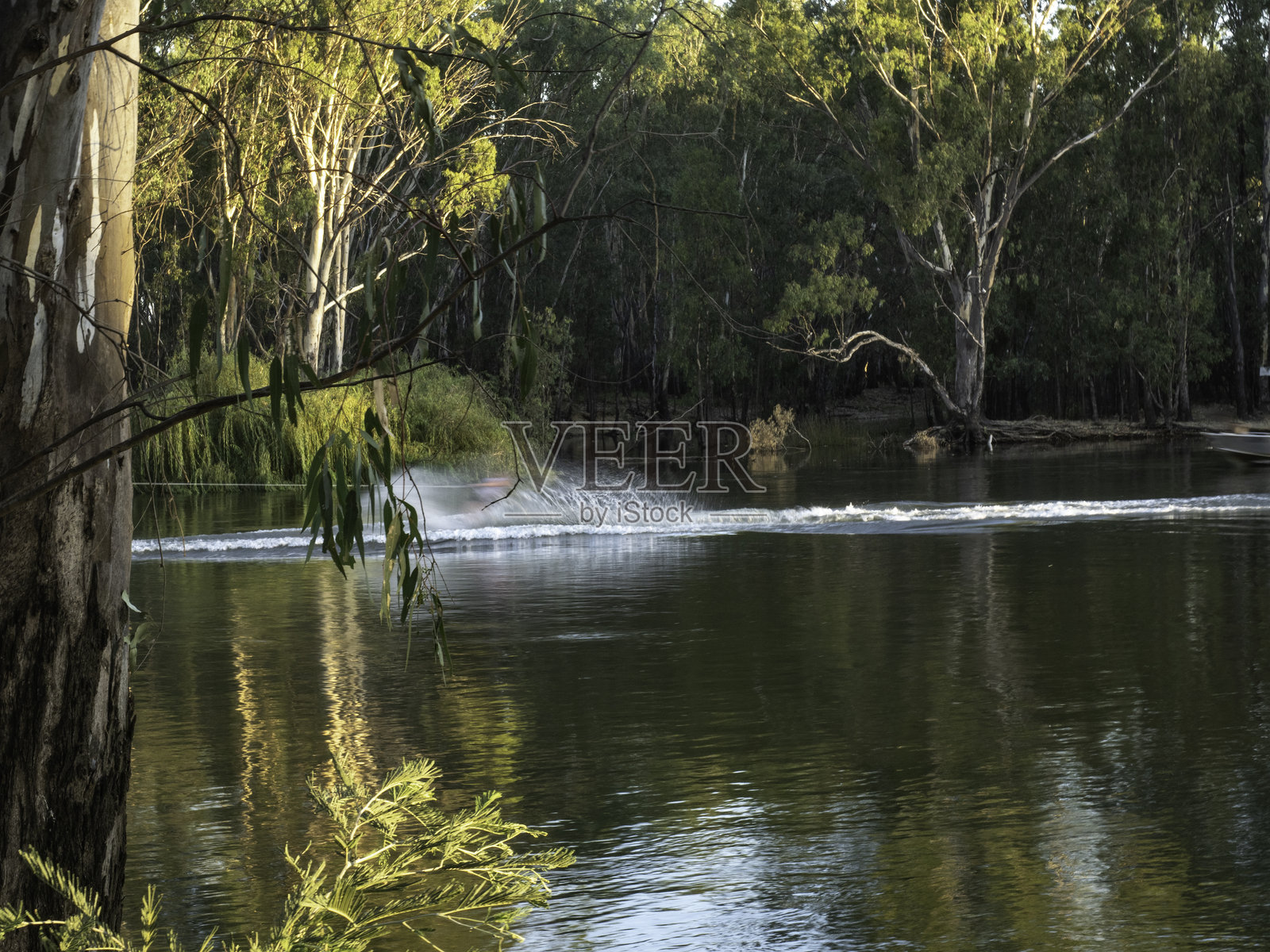 水上滑水者留下的河流波纹照片摄影图片
