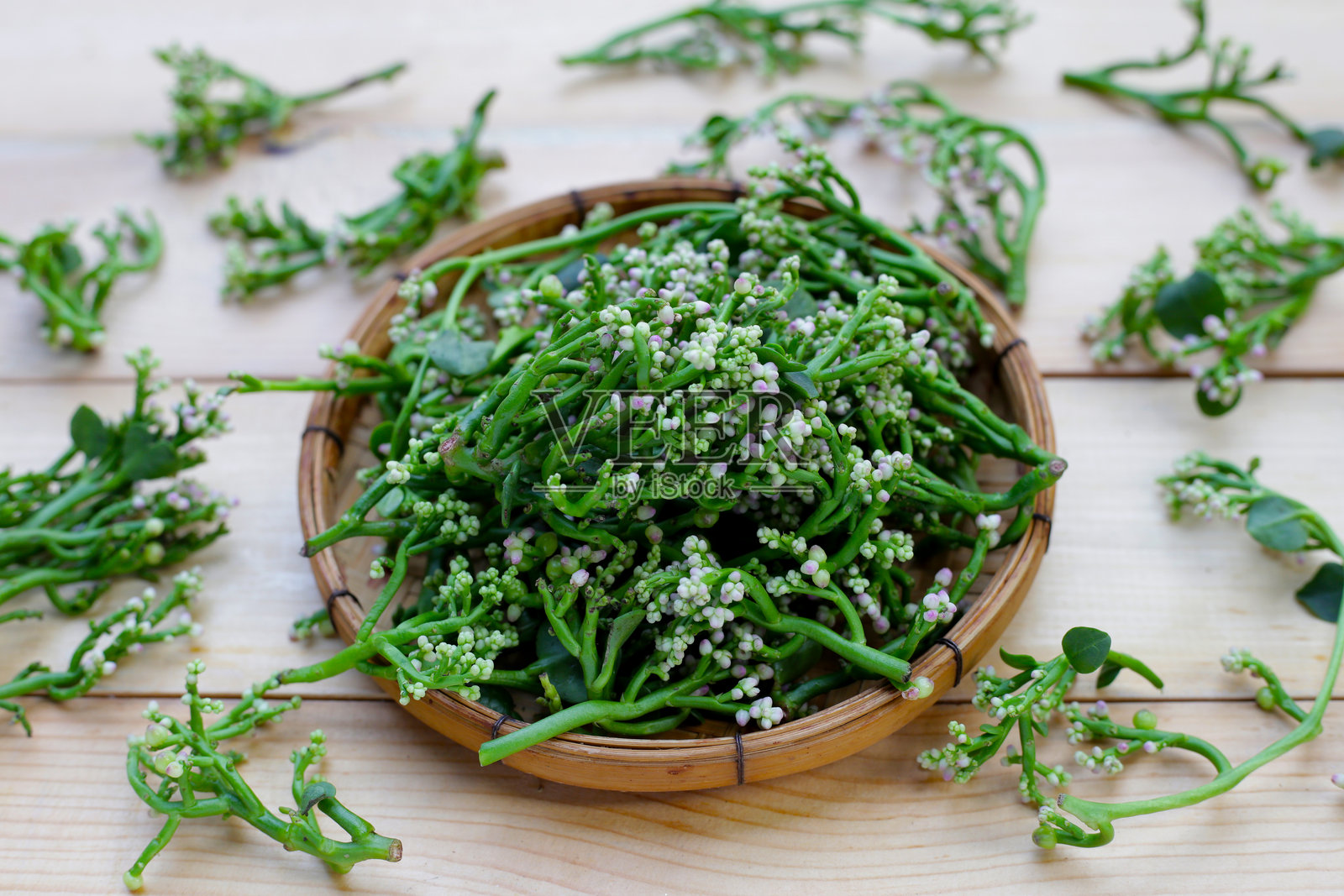 锡兰菠菜的新鲜花朵或马拉巴尔夜shade照片摄影图片