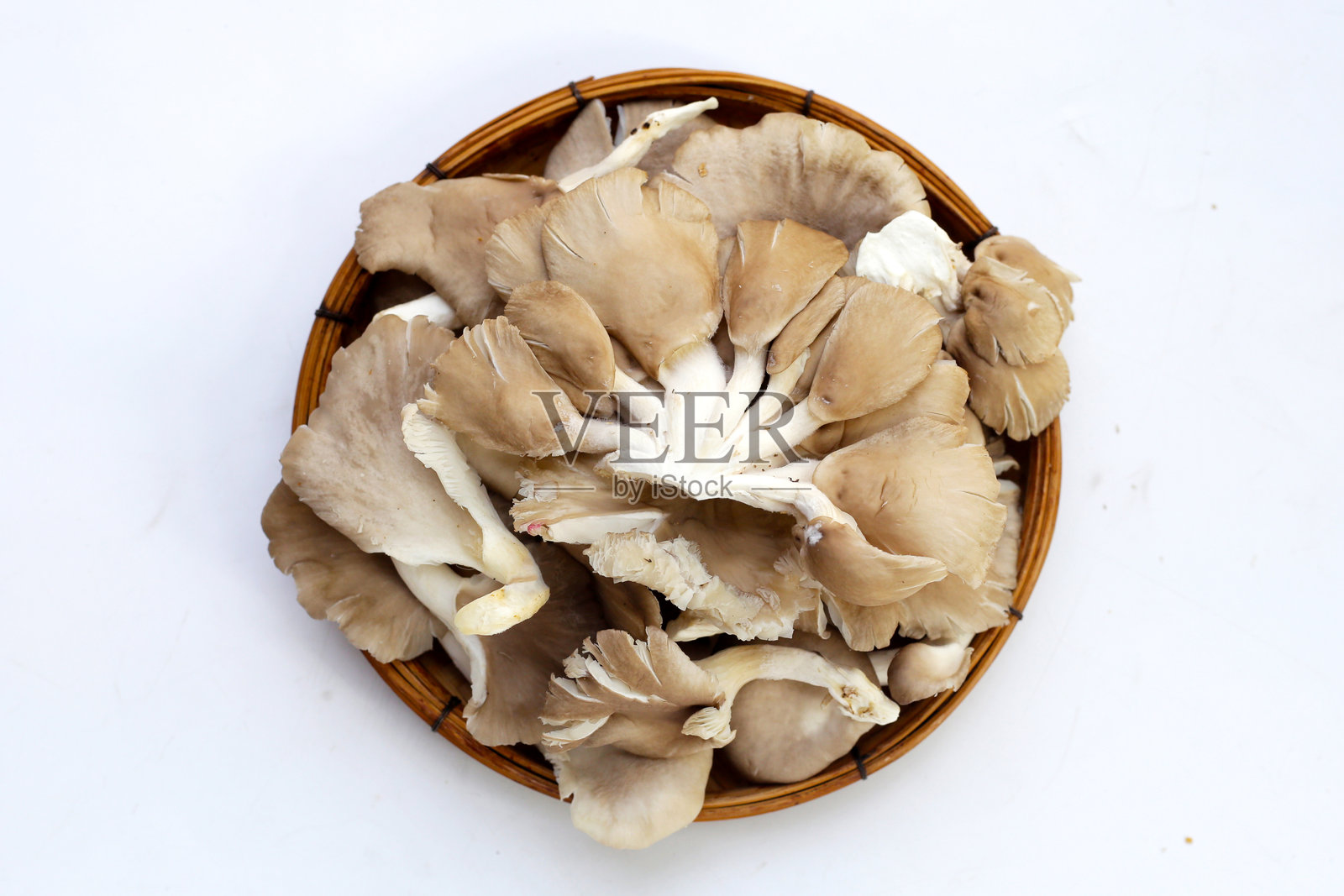 牡蛎菇或肺牡蛎菇照片摄影图片