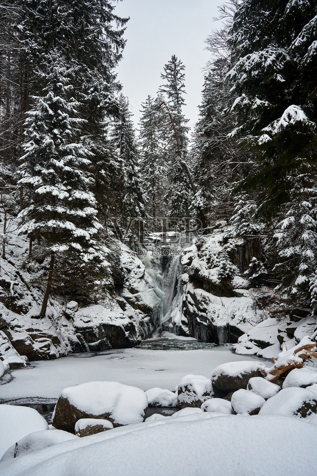 卡尔科诺谢山脉冬季针叶林中冰冻溪流上的瀑布照片摄影图片