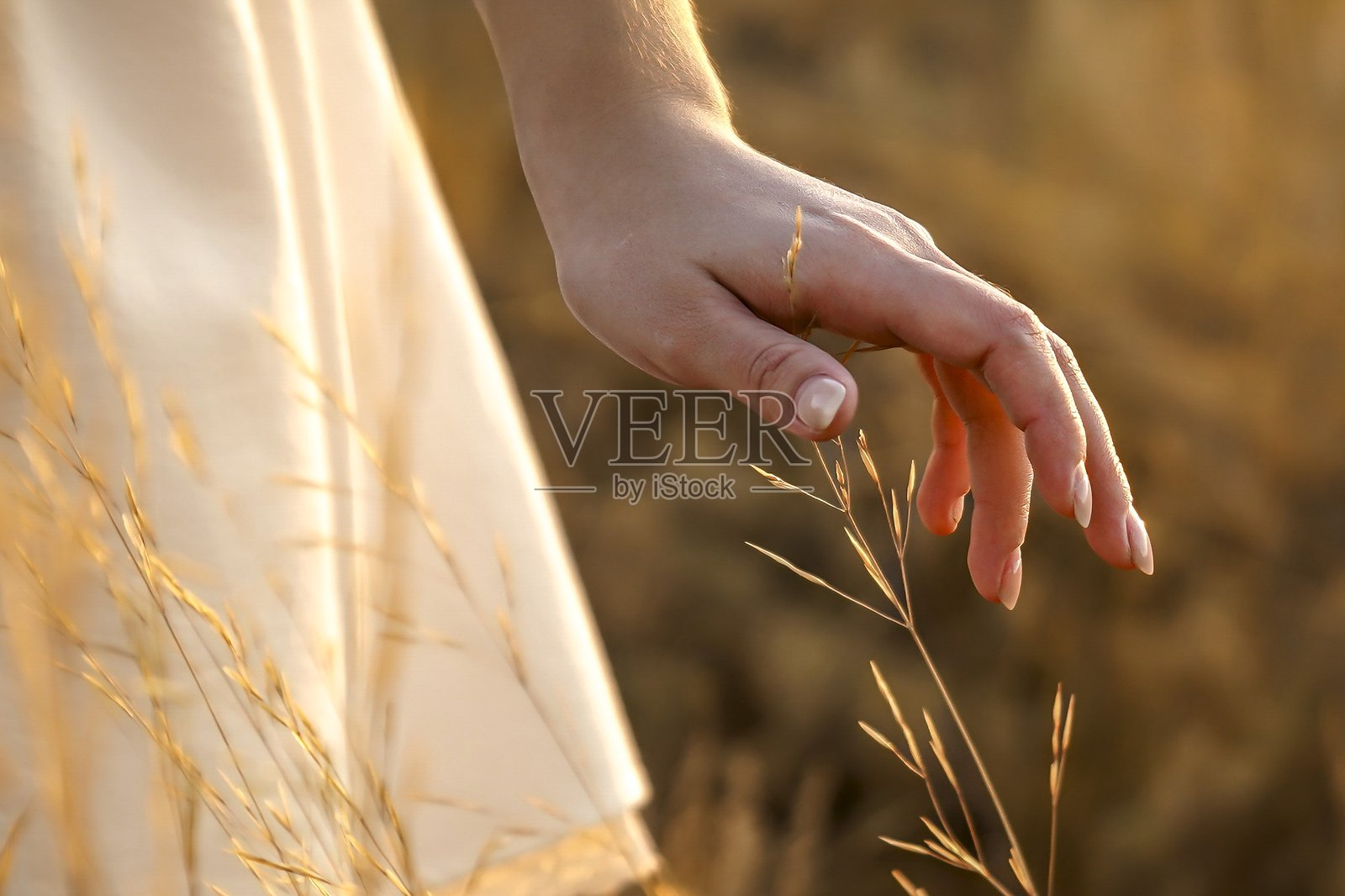 一个穿着白色裙子的女孩在日落时分奔跑在田野上，双手触摸着玉米穗，双手在空中做出心形，头发随风飘扬。照片摄影图片