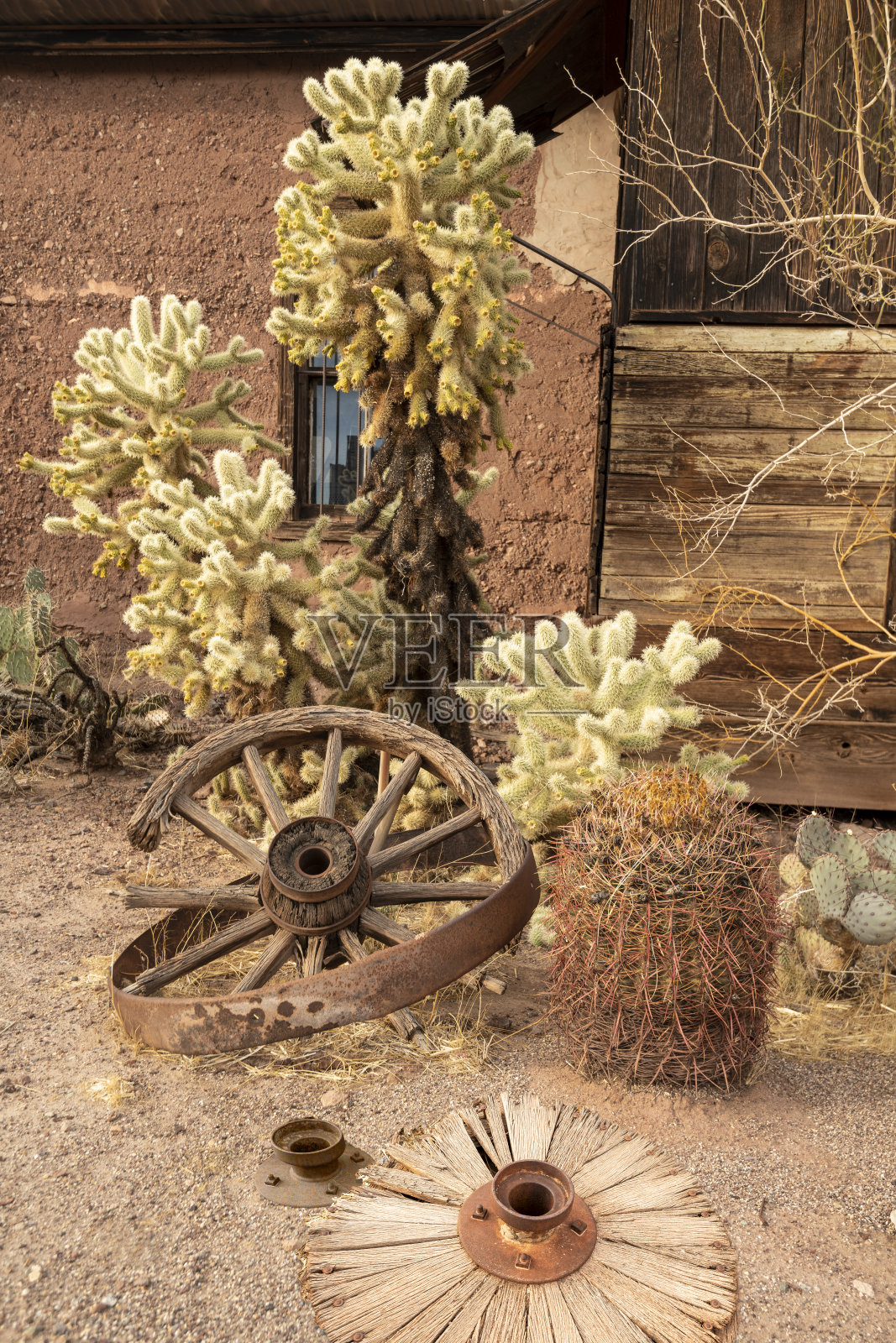 乡村花园照片摄影图片