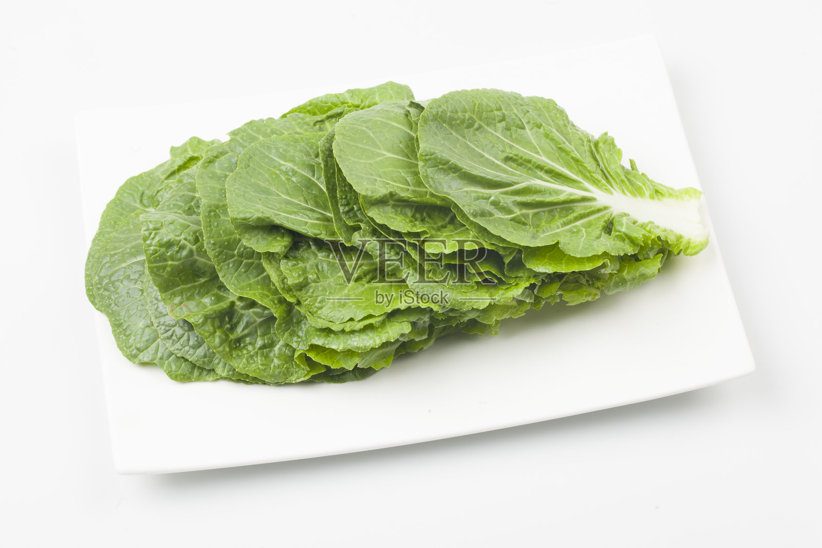 Ssamchu是一种由中国白菜和卷心菜杂交而成的品种。照片摄影图片