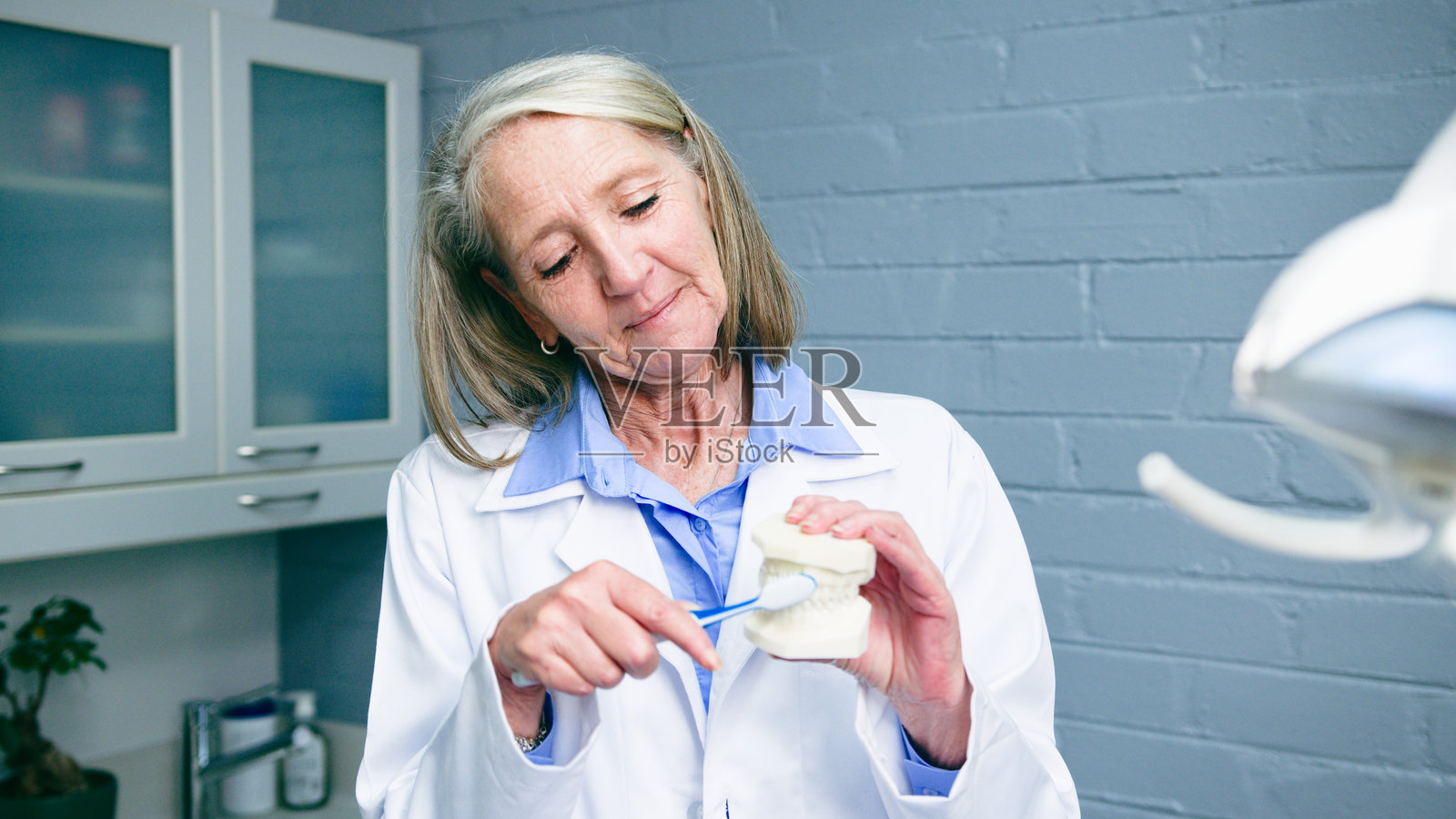 专业牙医在现代诊所中演示如何正确刷牙，使用牙科模型。照片摄影图片