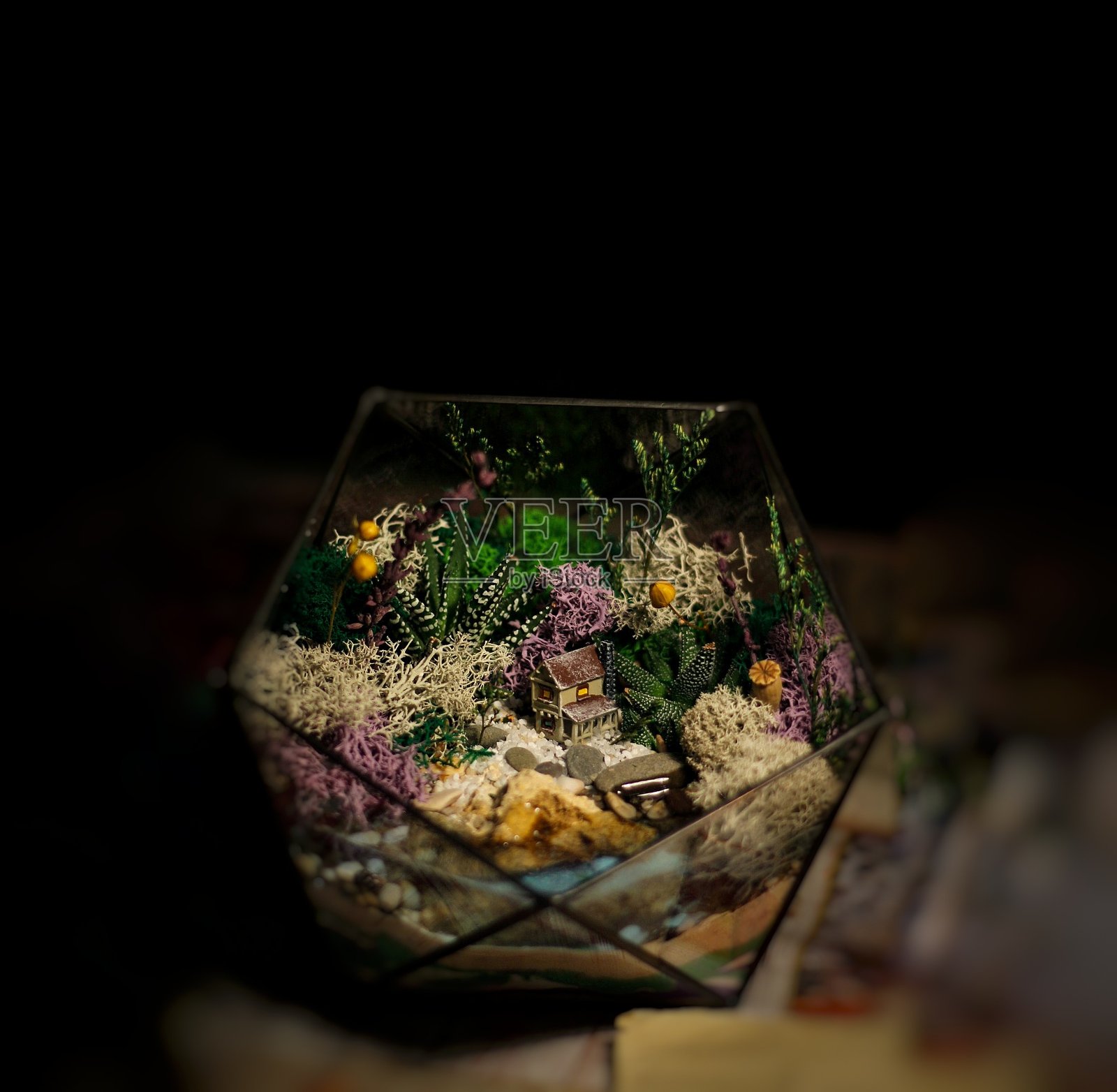 植物玻璃容器照片摄影图片