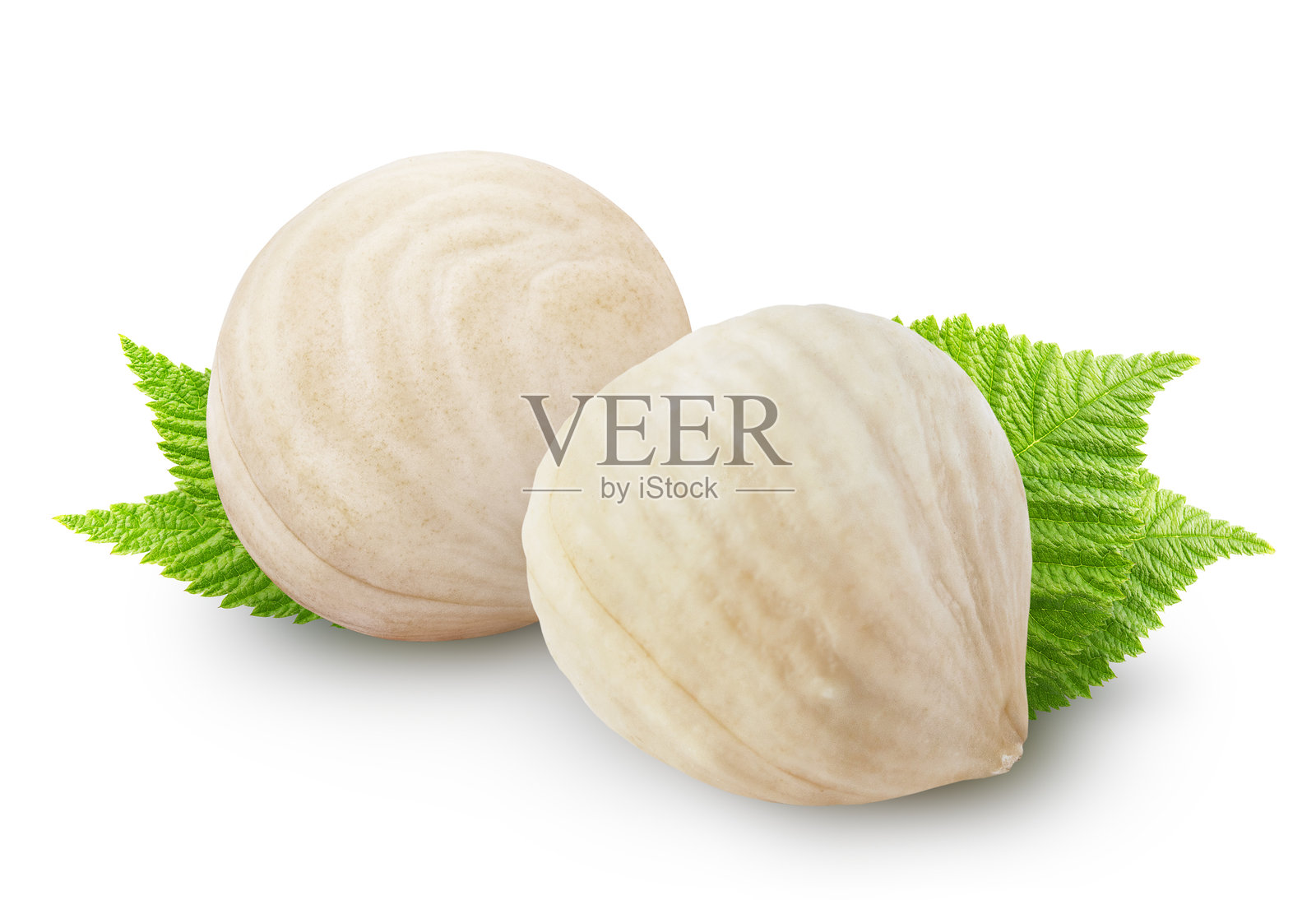 孤立的榛子。两颗去皮的烤榛子在白色背景上，带有抠图路径。照片摄影图片