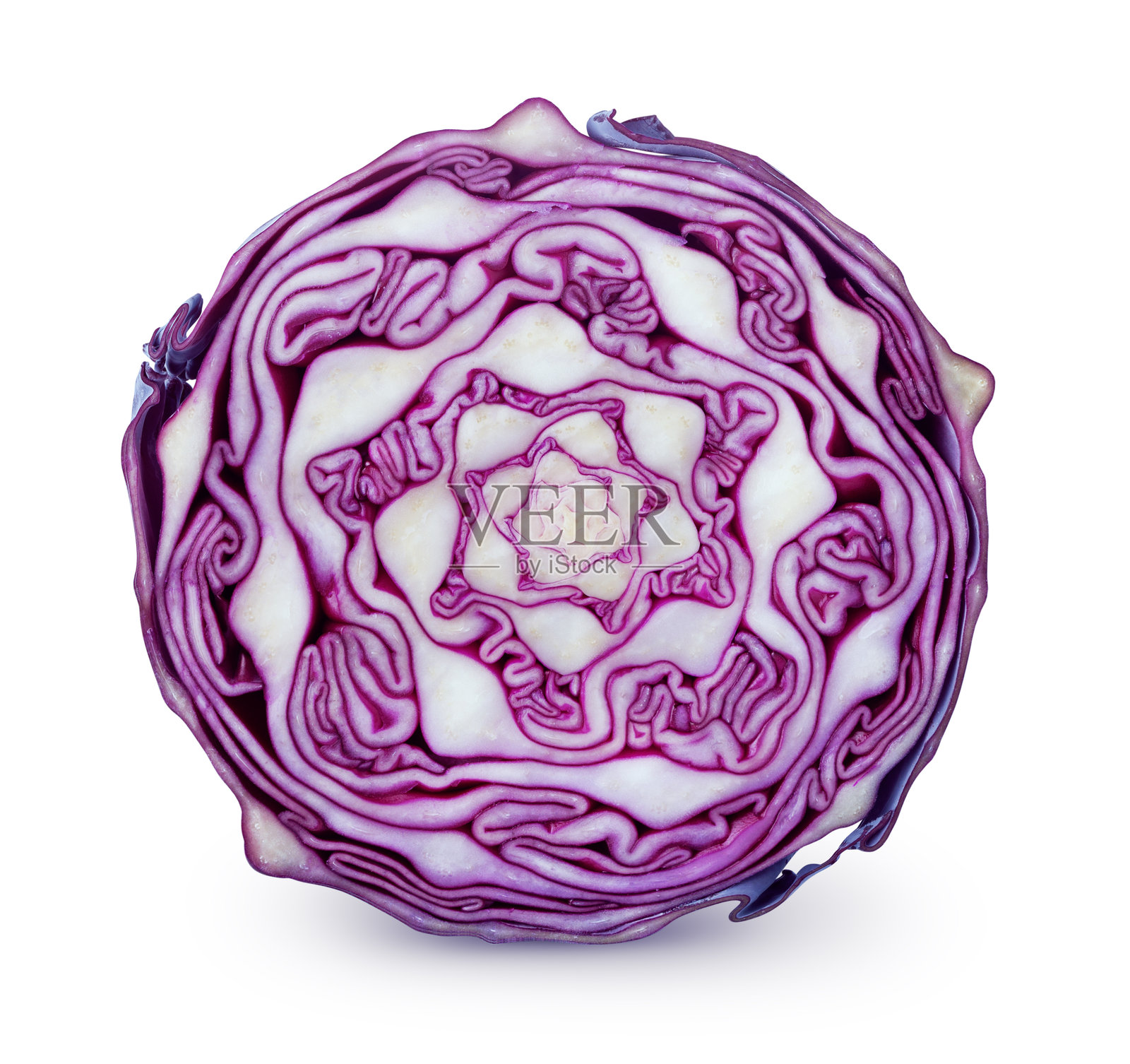 孤立的紫甘蓝。白色背景上的蓝甘蓝切片照片摄影图片