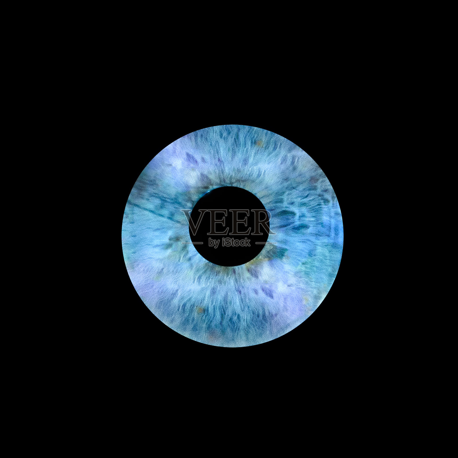 催眠蓝鸢尾花细节照片摄影图片