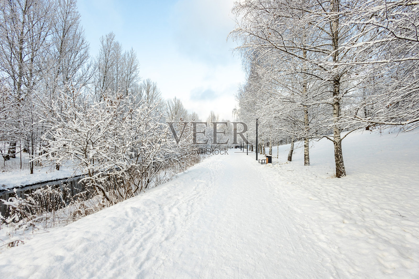 被雪覆盖的森林，冬季森林景观，雪覆盖的冰冻树木，俄罗斯冬天，乡村的阳光冬日照片摄影图片