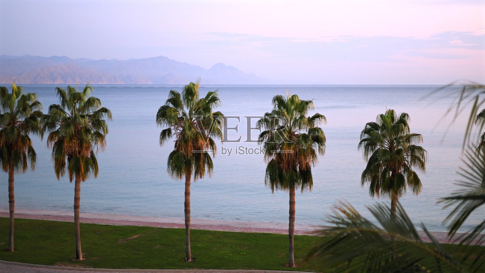 海浪轻轻拍打，棕榈树投下阴影，棕榈树环绕的小路，酒店高高耸立，酒店设计宁静，游客欣赏全景，游客欣赏海洋魅力。清晨。照片摄影图片