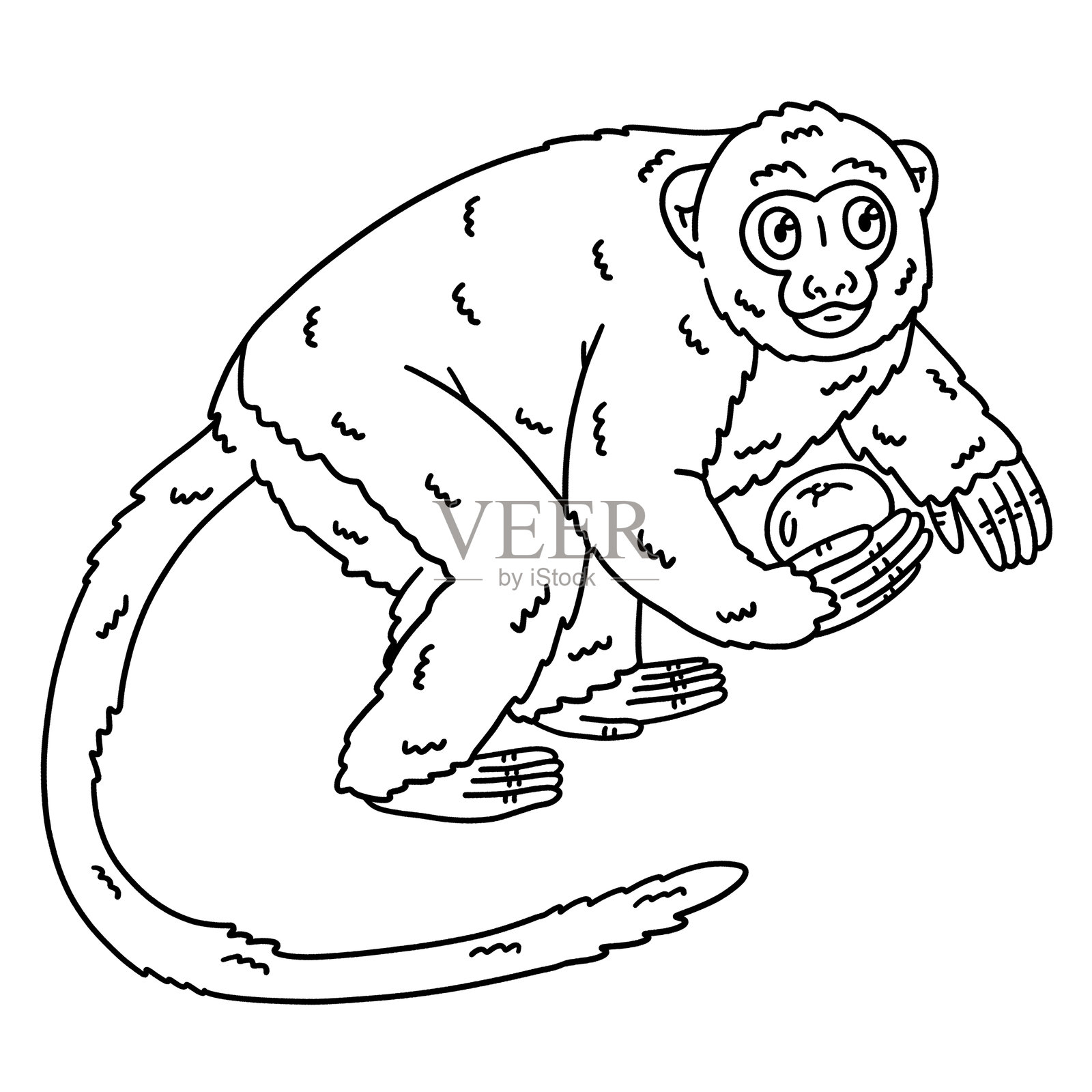 夜猴动物孤立涂色页插画图片素材