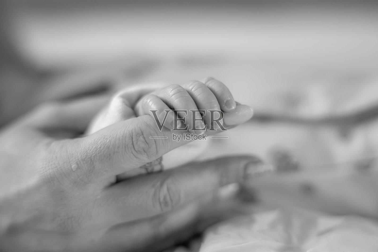 新生儿肖像照片摄影图片