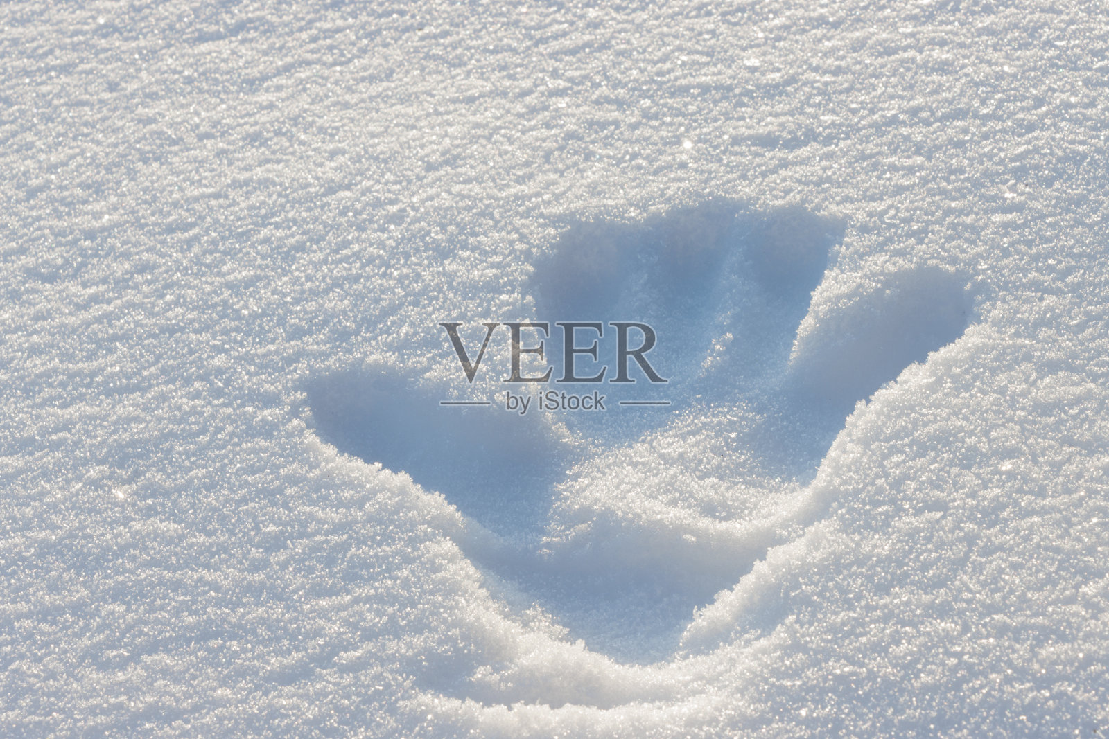 新鲜白色冬季雪面上的右手手印照片摄影图片