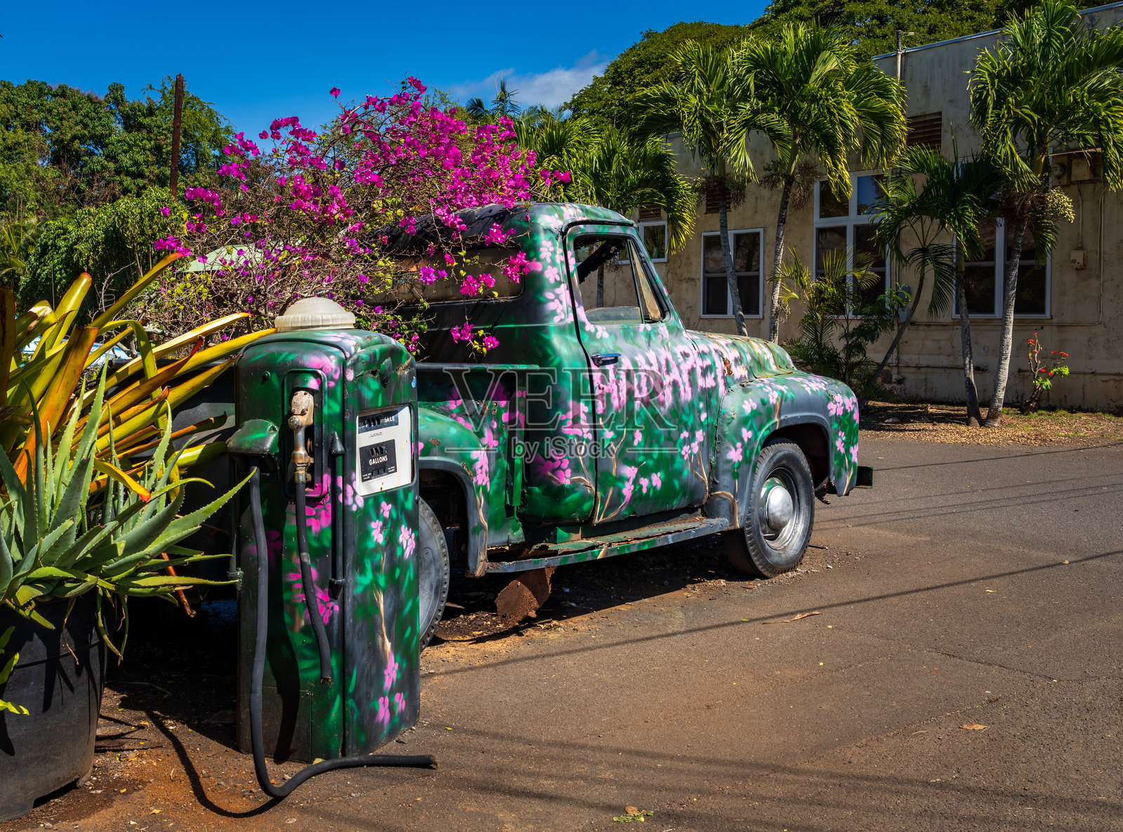 一辆覆盖着花朵的复古卡车为考艾岛汉纳佩佩迷人的街道增添了一抹色彩。照片摄影图片