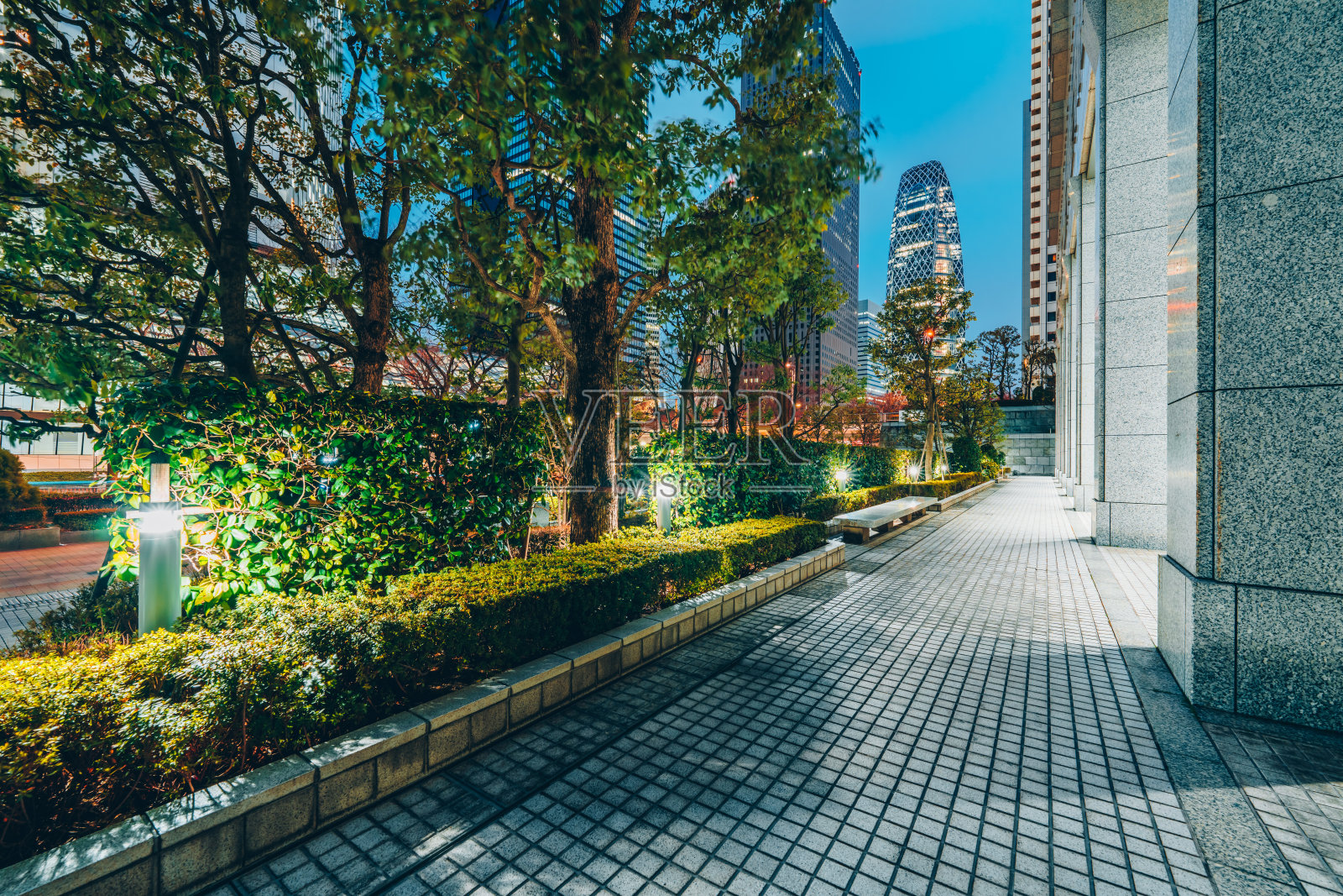 黄昏时分，东京摩天大楼之间的空旷人行道与郁郁葱葱的植被照片摄影图片
