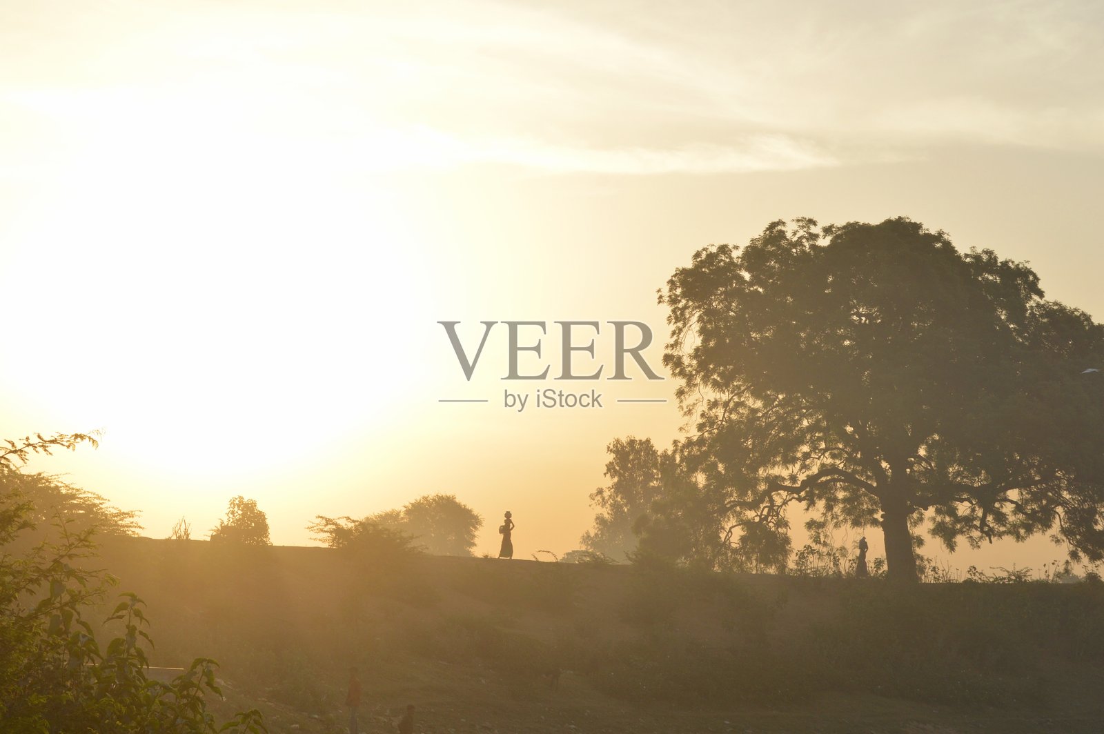 Jashawada M 12照片摄影图片