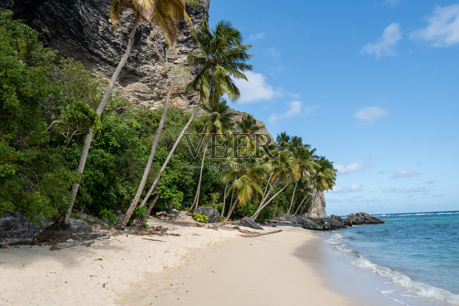 加勒比海的热带沙滩，椰子棕榈树成荫照片摄影图片