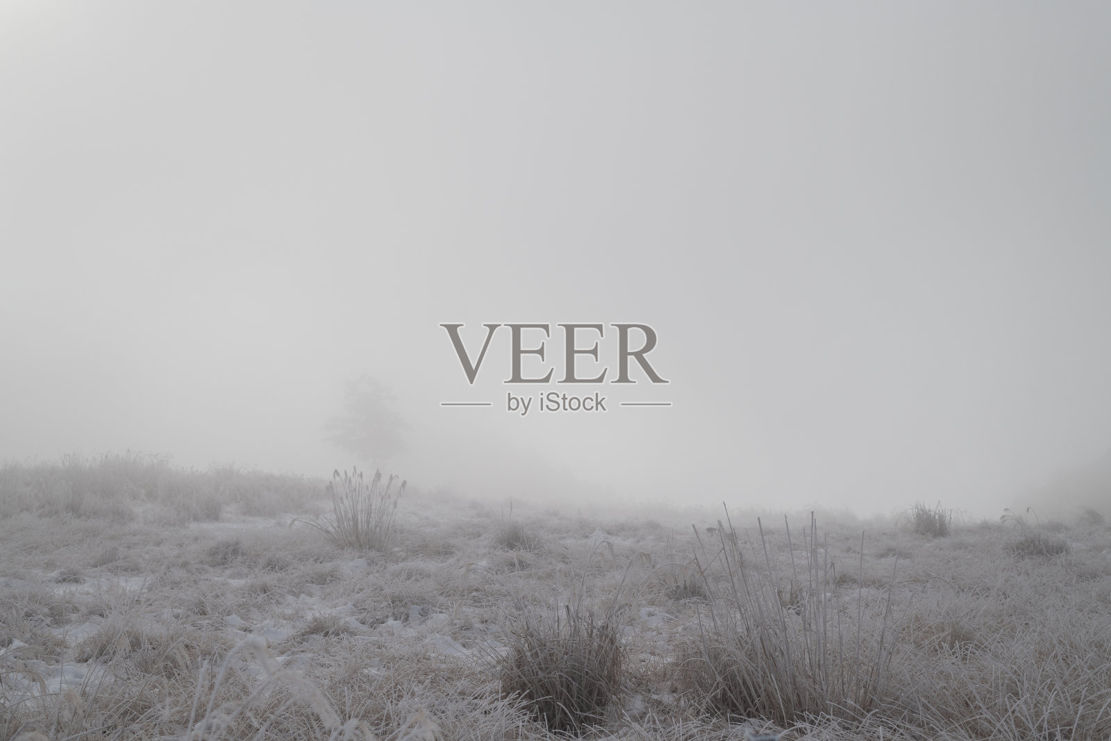 因暴风雪和雾霭导致能见度差的冬季风景照片摄影图片