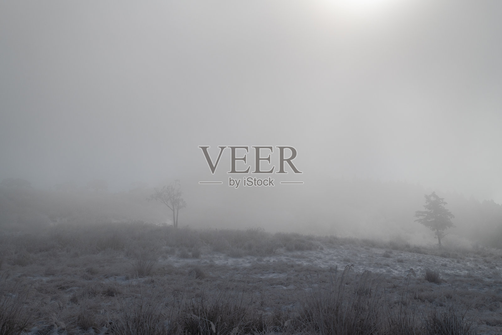 因暴风雪和雾霭导致能见度差的冬季风景照片摄影图片