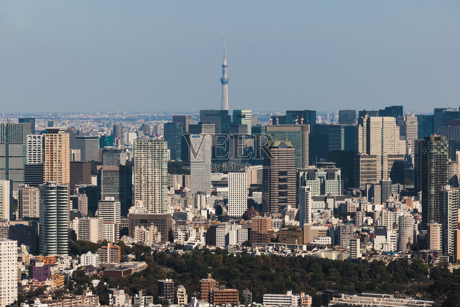 美丽的超宽视角鸟瞰东京，日本，屋顶和摩天大楼，城市天际线和风景，从观景台俯瞰，阳光明媚的蓝天，东京大都市区照片摄影图片