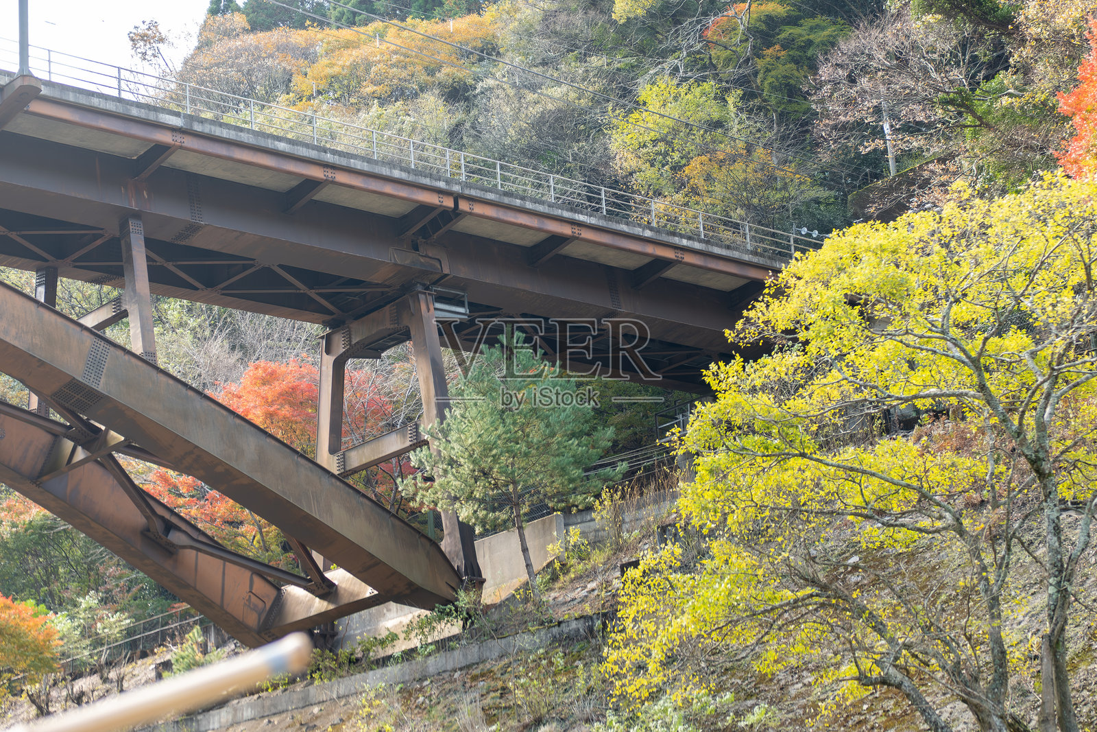在保津川附近的木桥旁，五彩斑斓的秋叶映衬着美丽的景色。照片摄影图片