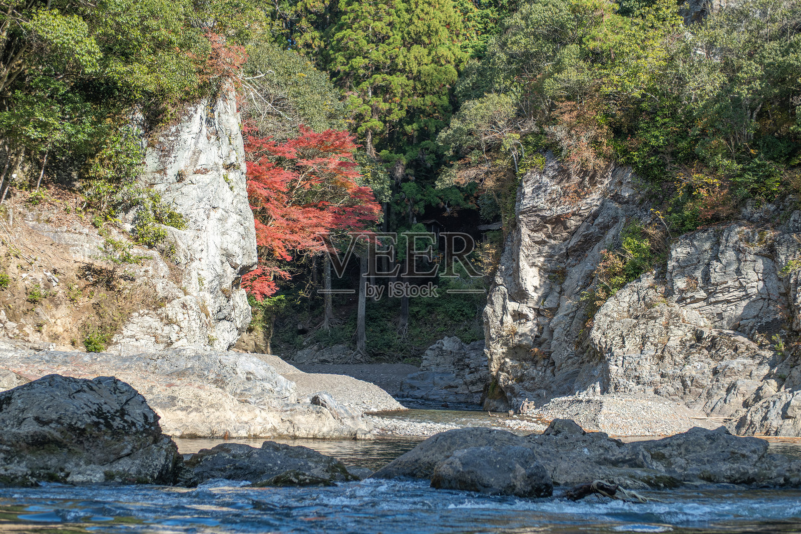 保津川沿岸的风景如画的岩石海岸与五彩斑斓的树叶照片摄影图片
