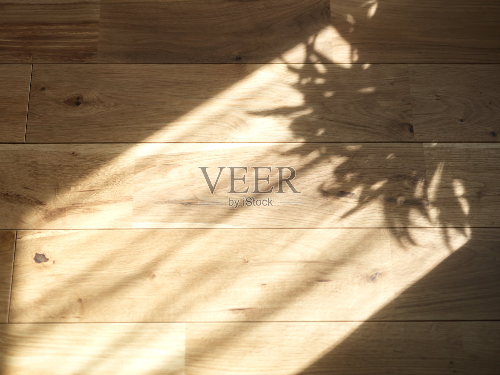 阴影照片摄影图片