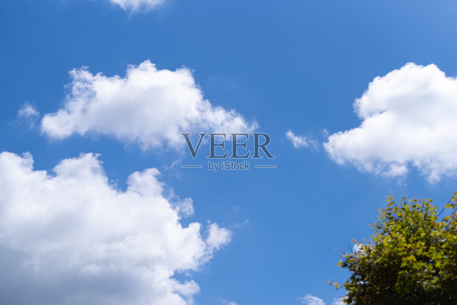 仰望美丽的蓝天照片摄影图片