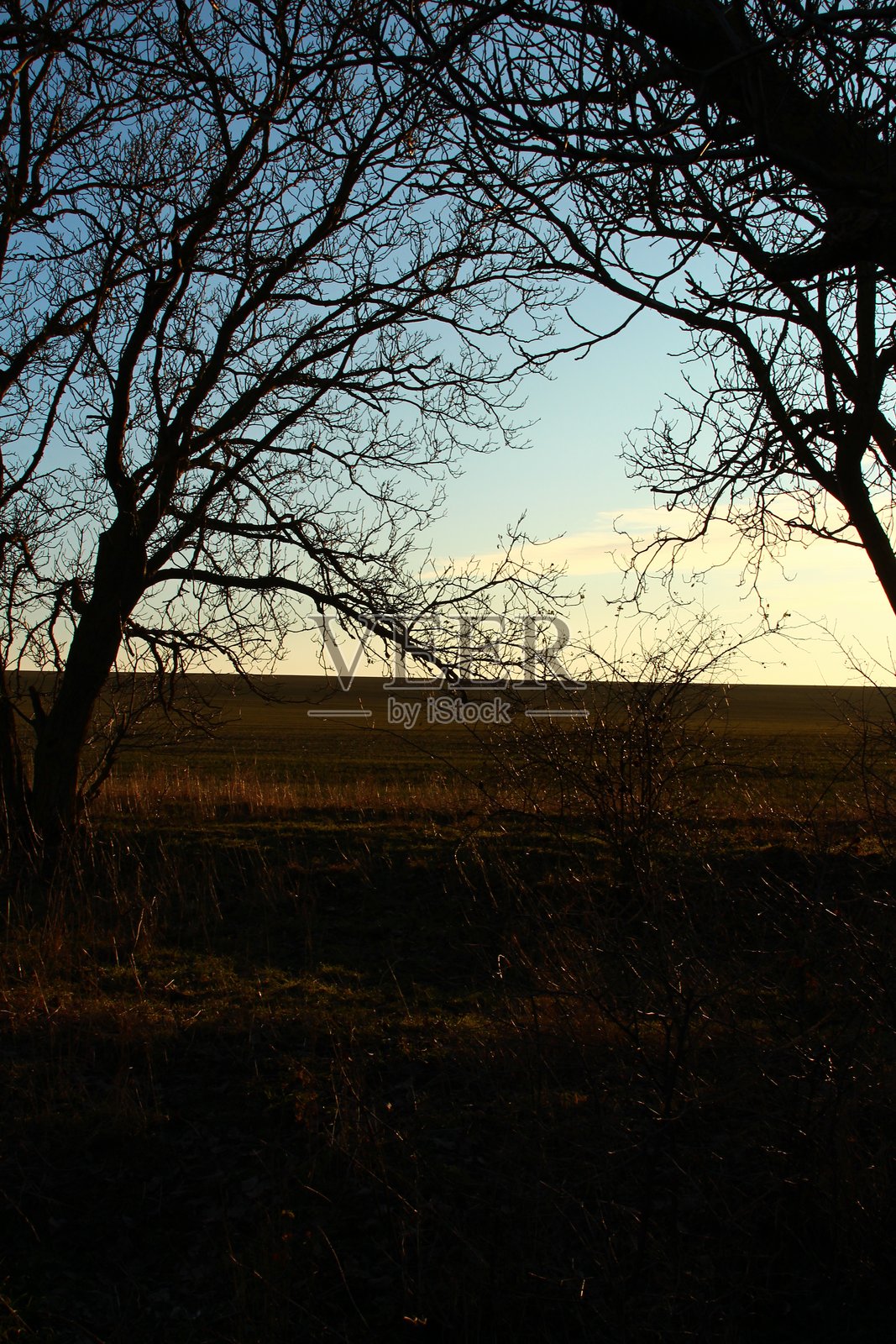 一栋带有标志的建筑照片摄影图片