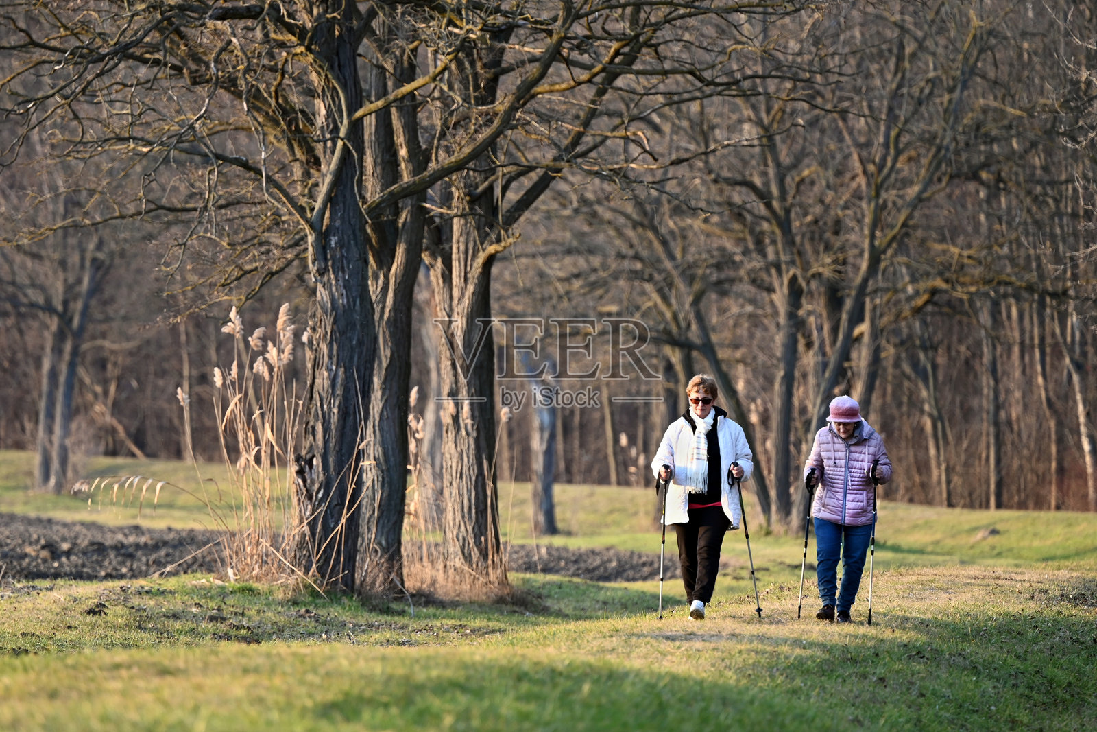 两位老年女性在冬天散步照片摄影图片