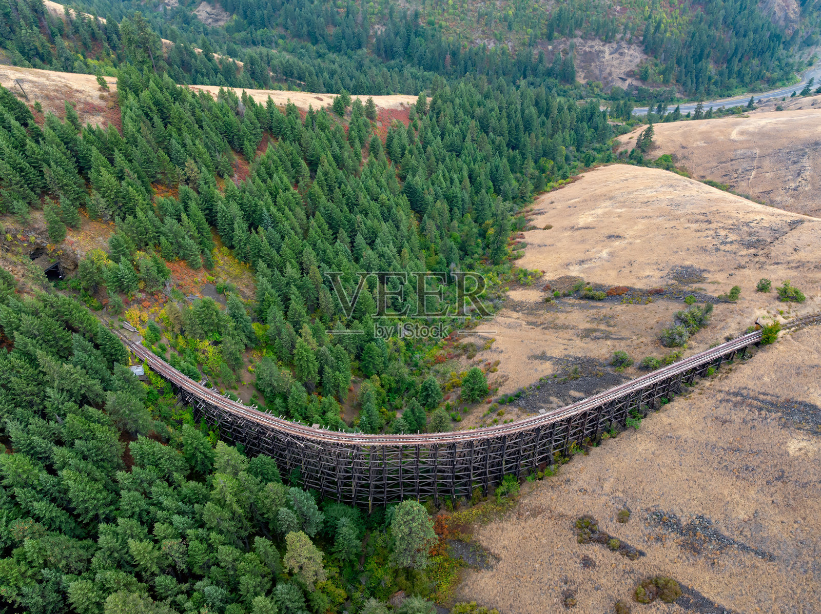 火车桥进入森林隧道的鸟瞰图照片摄影图片
