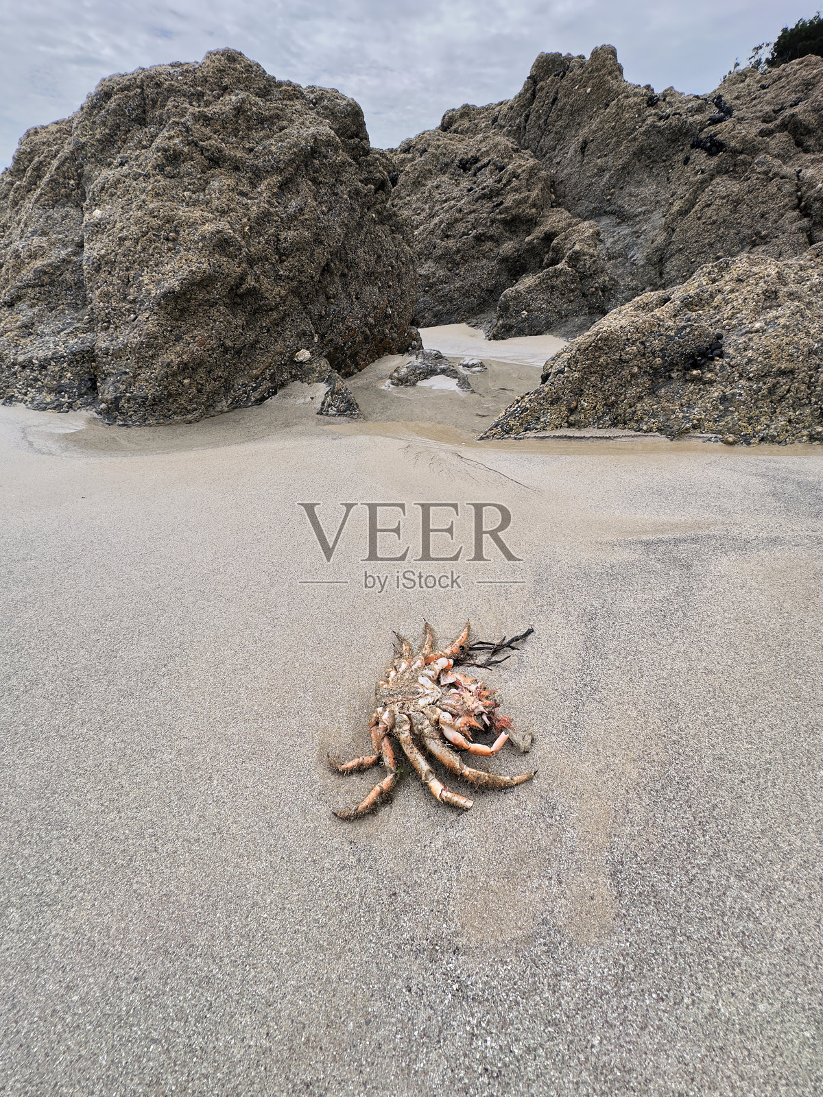 欧洲气候变化的当前状况照片摄影图片