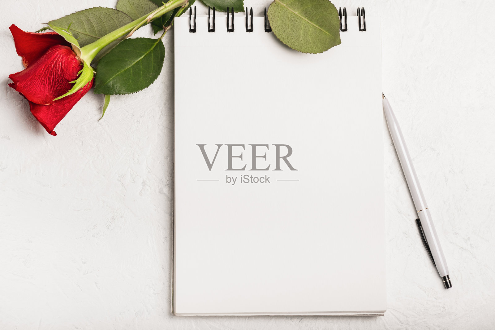 贺卡。打开的笔记本上放着一支钢笔和一朵红玫瑰。照片摄影图片