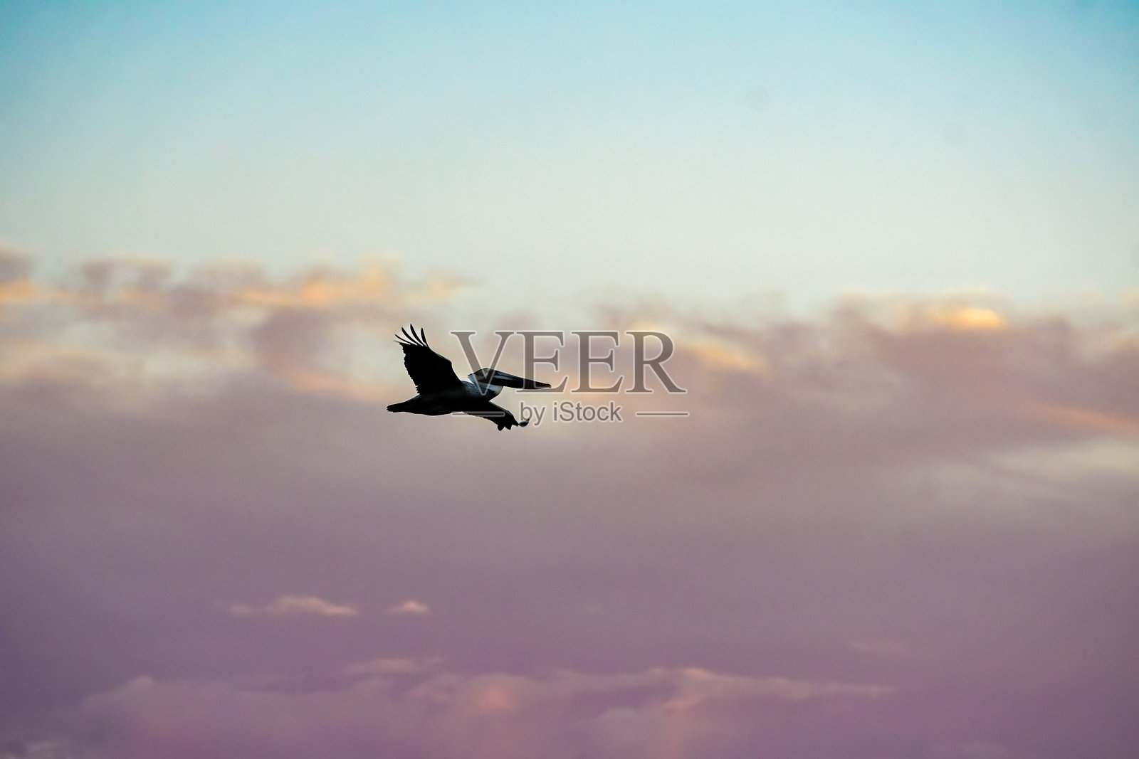 海滩的冬天照片摄影图片