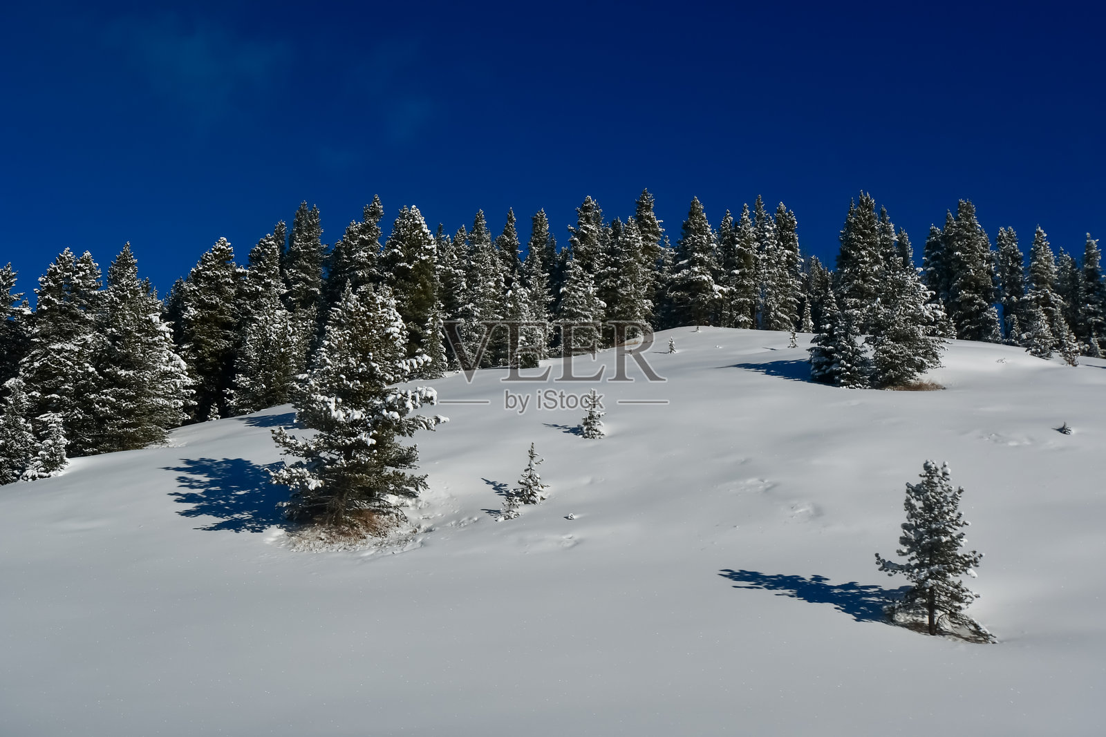 科罗拉多州的滑雪照片摄影图片